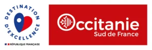 Logo destination d'excellence_01